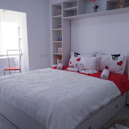 Epic Apartment Timişoara Buitenkant foto